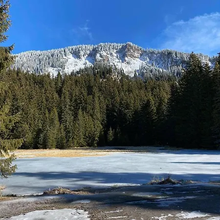в Mountainlake 公寓式酒店 斯莫梁