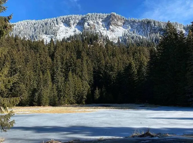 в Mountainlake Апарт-отель Смолян